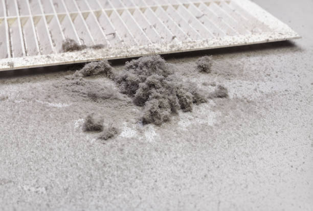 Best Duct Cleaning Specialists  in Milford, NE