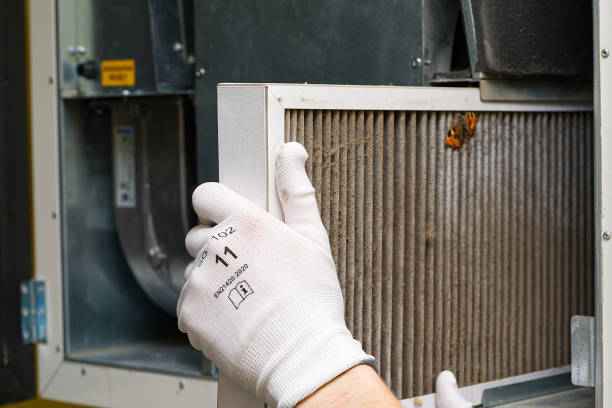 Best Ductwork Cleaning Services  in Milford, NE